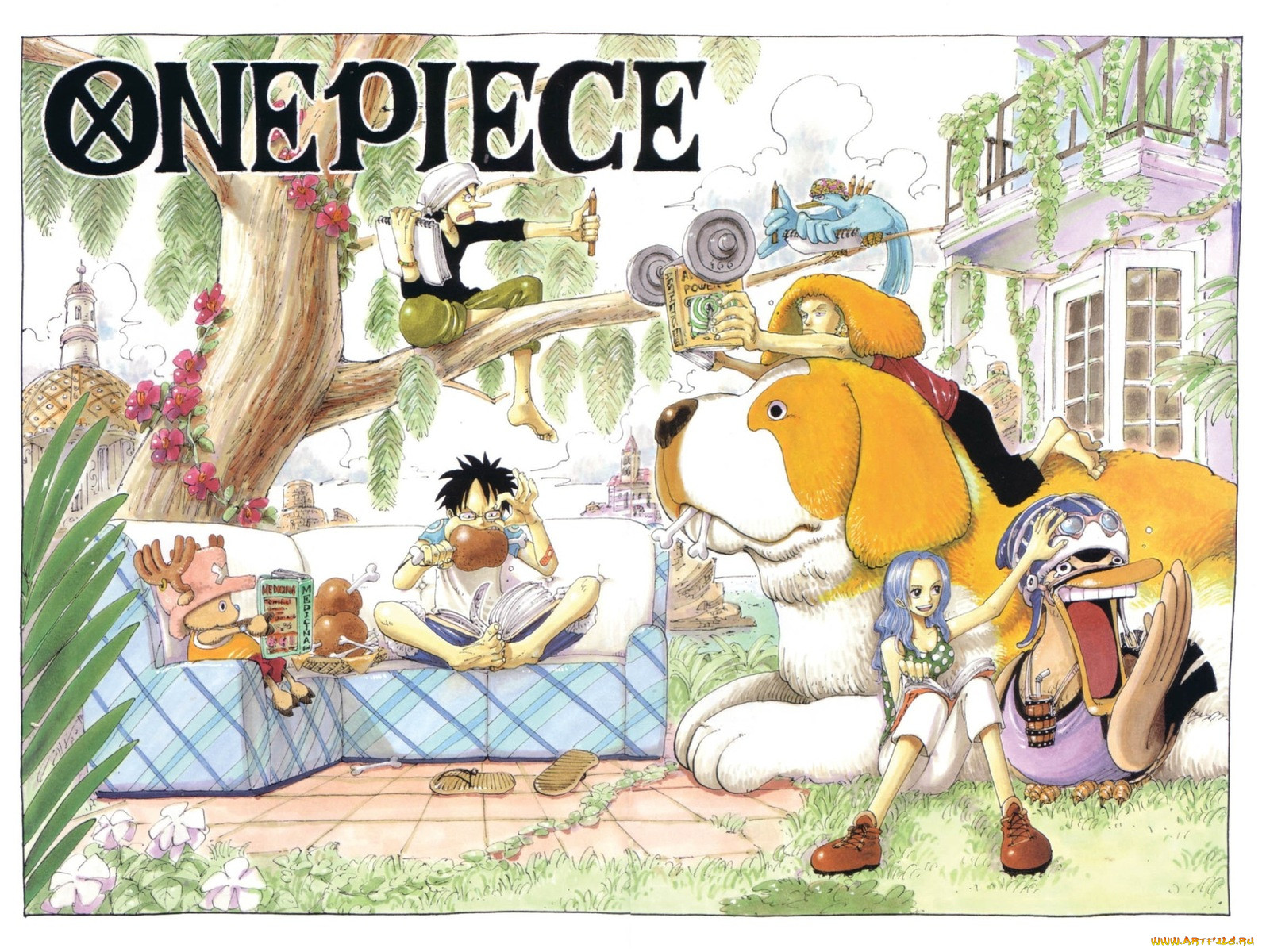 , one, piece, monkey, d, luffy, roronoa, zoro, chopper, usopp, nefertari, vivi, carue